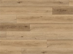 Paradigm Performer Agave 9 x 60